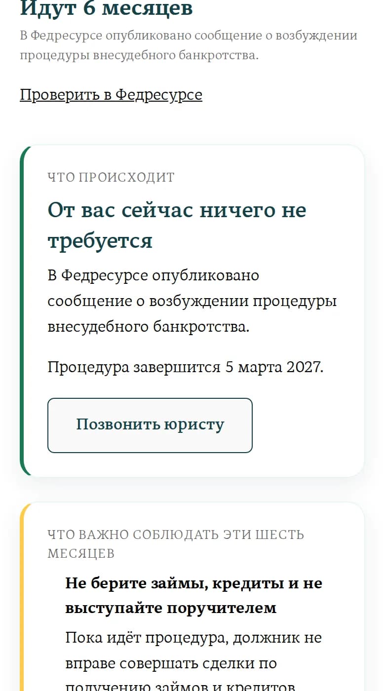 Экран кабинета после подачи: «Идут 6 месяцев», сообщение опубликовано в Федресурсе